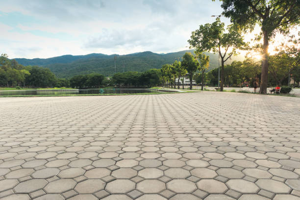 Best Custom Driveway Pavers  in Hightstown, NJ